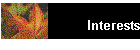 Interests